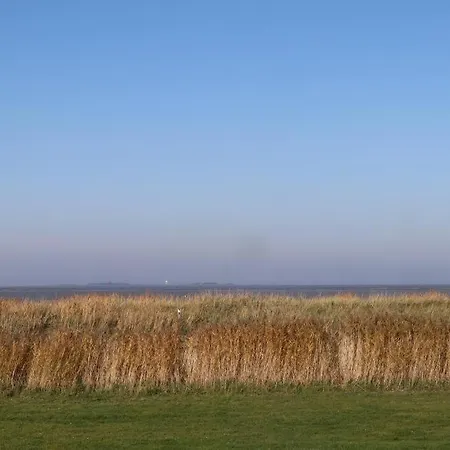 Frische-Brise-06-02 * Cuxhaven